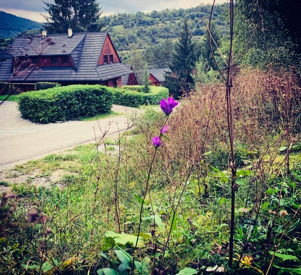 Drevenica Uhorcik Villa Terchová Exteriör bild