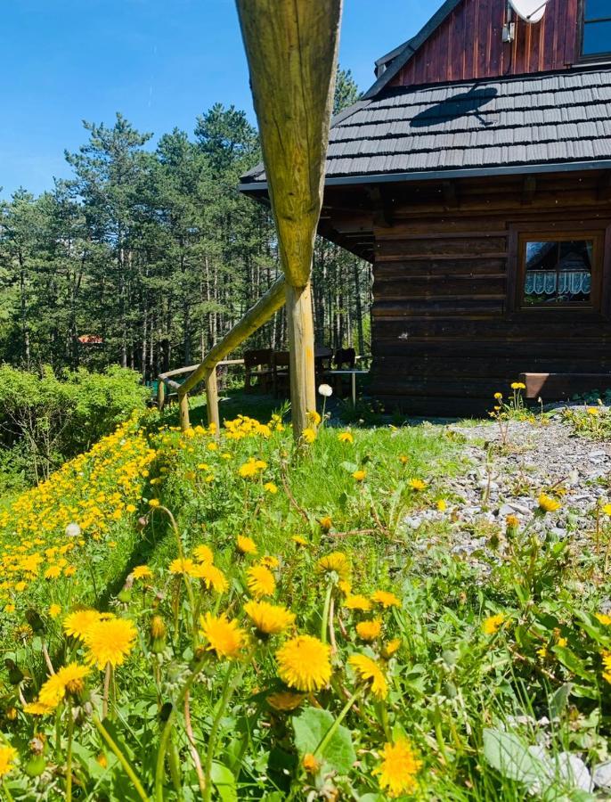 Drevenica Uhorcik Villa Terchová Exteriör bild